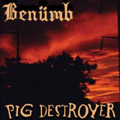 Benümb / Pig Destroyer