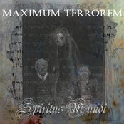 Maximum Terrorem