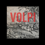Volpi