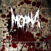 Libido amargo, amanhecer dos sonhos