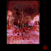 17 Schwarz Remixes