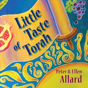 Little Taste of Torah
