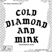 My Echo, Shadow and Me (Instrumental)