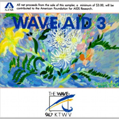 Mickey Raphael: Wave Aid 3