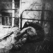 Where Everything's Gone