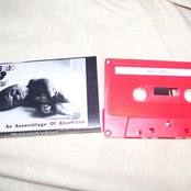 An Assemblage Of Abortions