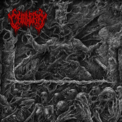 Theopobium Excruciation (320)