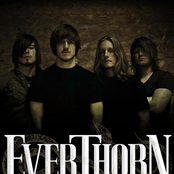 everthorn