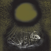 Spiritual Poison / Thorn Bug