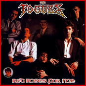 Kitty by The Pogues