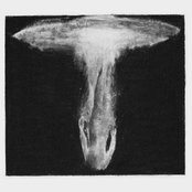 S/T
