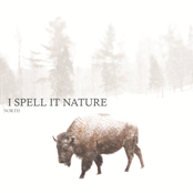 Arrivals by I Spell It Nature