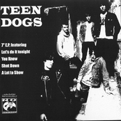 teen dogs