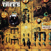 Troubled Times by Screaming Trees