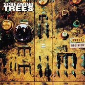 Dollar Bill by Screaming Trees