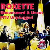 I Never Loved A Man by Roxette