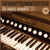 Say What You Wanted To Say