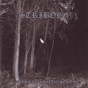 As A Hermit Hiding In The Trance Of Night by Striborg