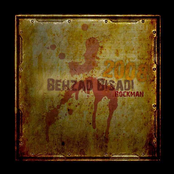 Behzad Bisadi