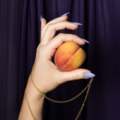 Presse-jus (Audio Version)