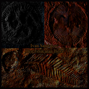 Den Ediacaran Biota