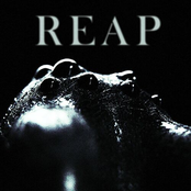 Shallowsky: Reap
