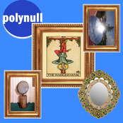 Polynull