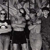 Cro-mags