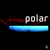 Ill Formed by Polar