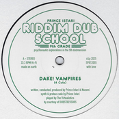 Riddim Dub School 9th Grade - psychonautic explorations in the 5th dubmension