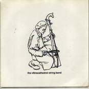 Vibracathedral String Band / Vibracathedral Drum Troupe
