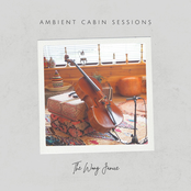Ambient Cabin Sessions