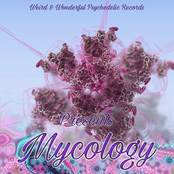 Weird and Wonderful Psychedelic Records Presents... Mycology