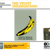 Coyote by The Velvet Underground