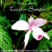 Johann Sebastian Bach visita a Mata Atlântica