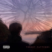 Thorny Patterns
