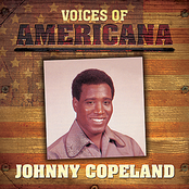 Hurt Hurt Hurt by Johnny Copeland