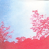 Jewelled Antler Library vol. 6 - Silvery Branches