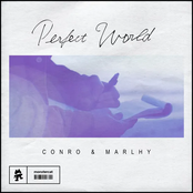 Perfect World - Single