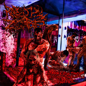 Zombification Through Sexually Transmitted Diseases