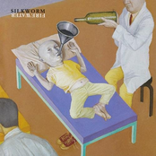 Swings by Silkworm