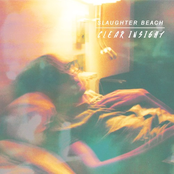 Slaughter Beach: Clearinsight