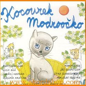 Kocourek Modroocko