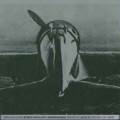 Ember Hollow / Dawn Plaza