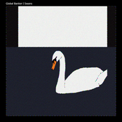 Swans