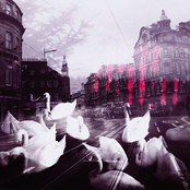 dreams you kept frozen