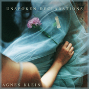 Unspoken Declarations