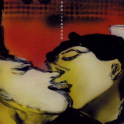 リトルスワロウ