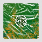 Sativa