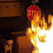 Shirley Temple of Doom